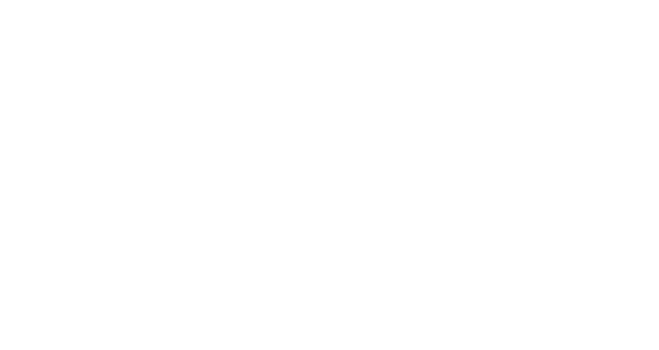 lloyd stanford new logo white (2)